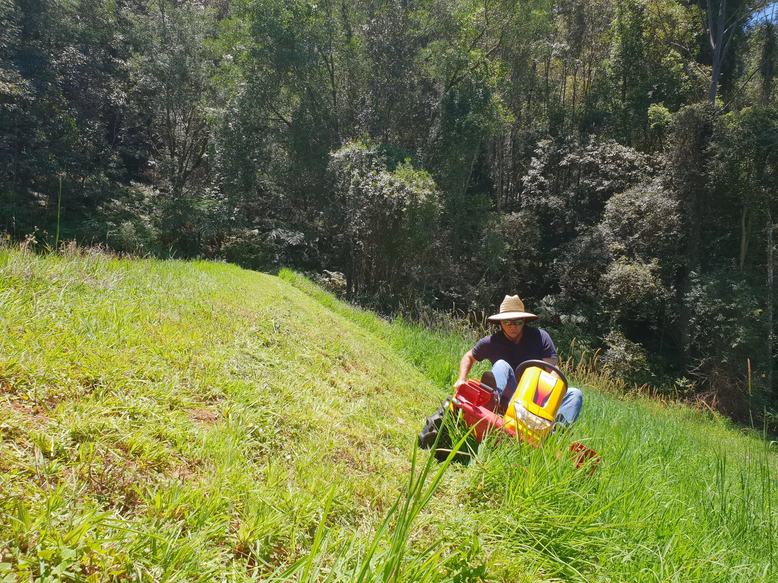 Slope mulching being applied to a steep bank