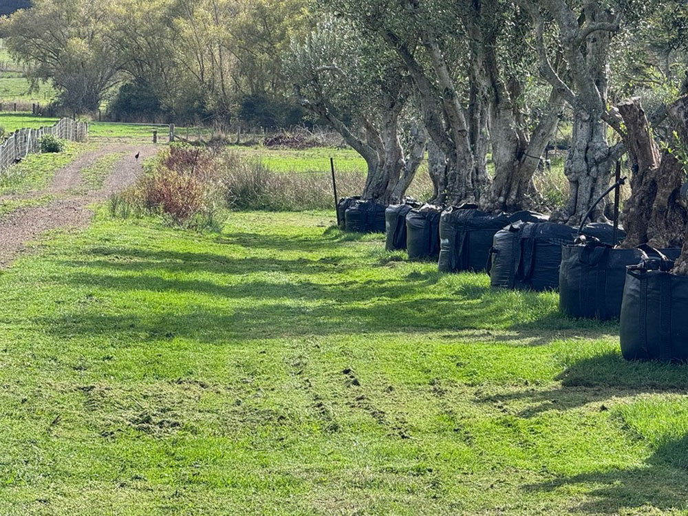 Slope Mowing after