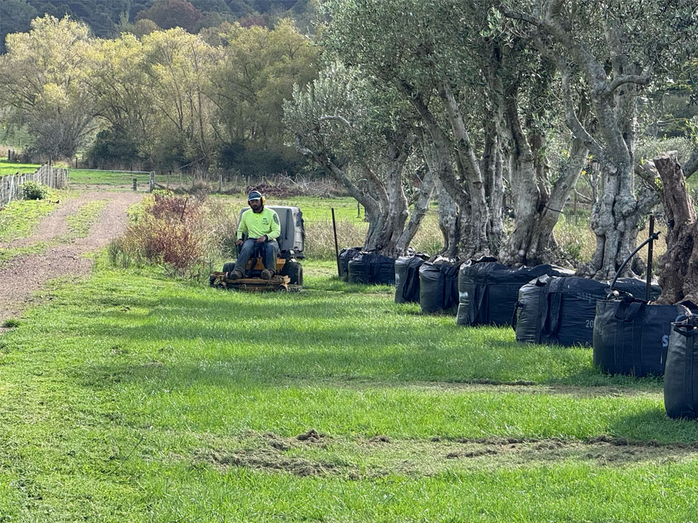 Slope Mowing before
