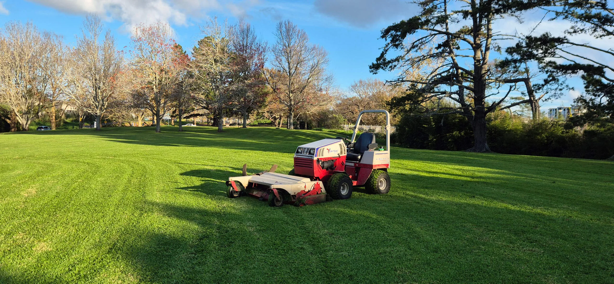 Remote mulcher clearing a steep slope