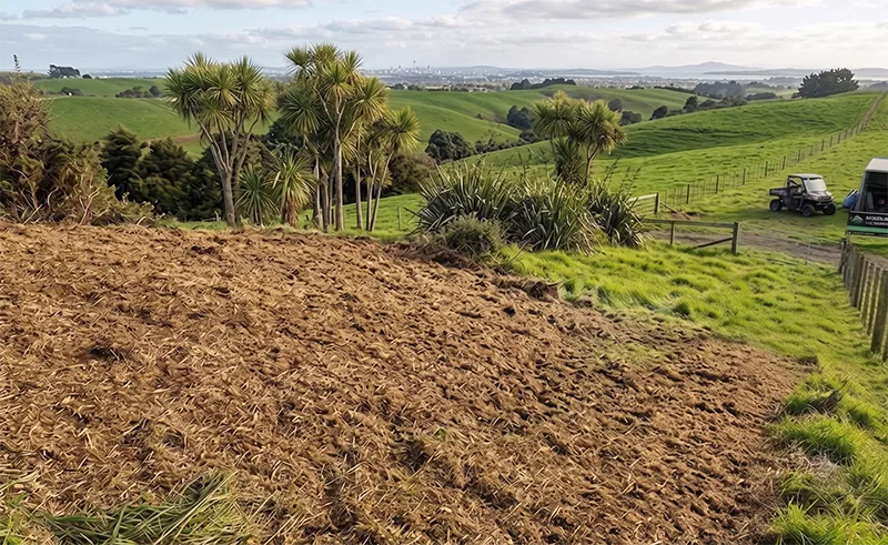 After slope mulching