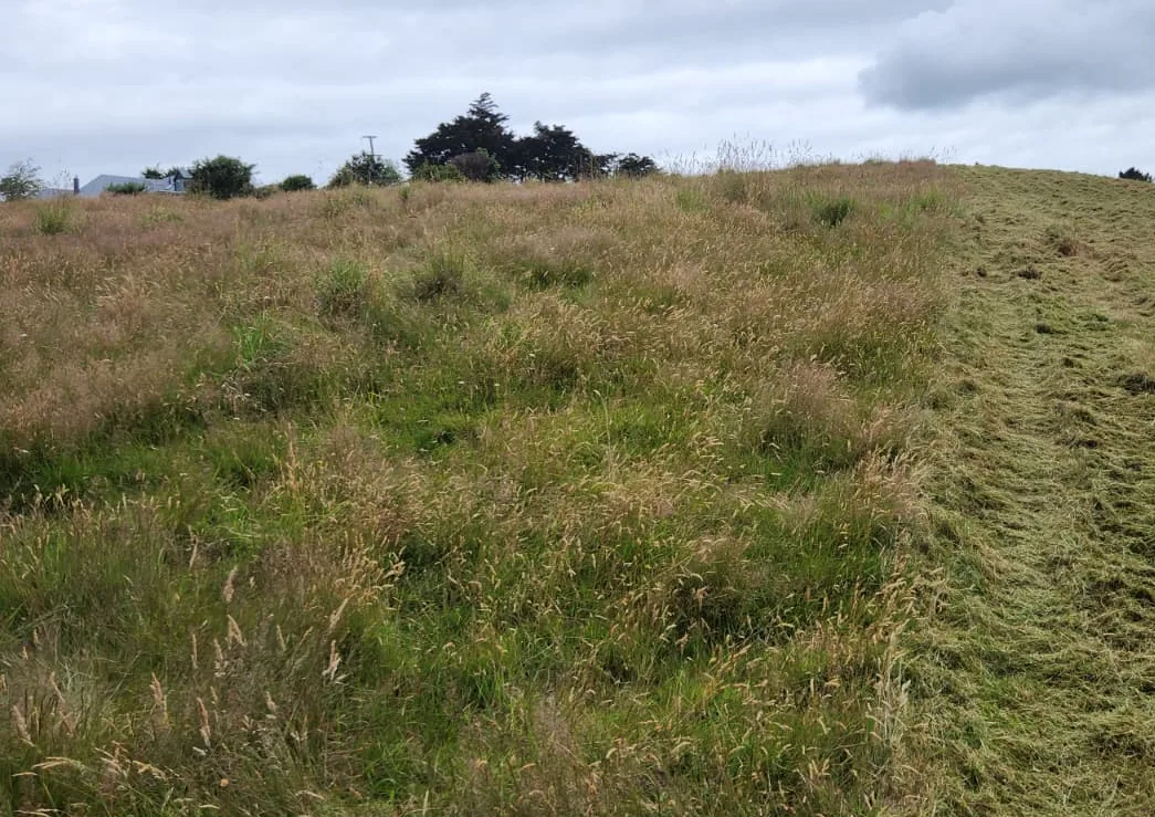 Slope Mowing before